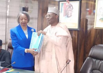 Amupitan may emerge INEC chair