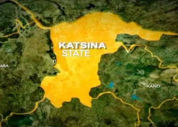 FG, Katsina to convert 123,000 hectares into modern ranches