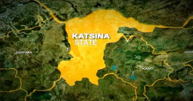 FG, Katsina to convert 123,000 hectares into modern ranches