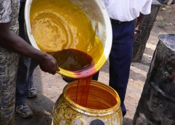 Malaysia’s palm oil development: Lessons from a global success story