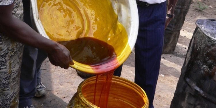 Malaysia’s palm oil development: Lessons from a global success story