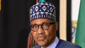Buhari and the burden of too many books