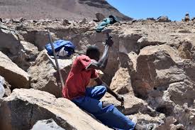 Experts Asked Tinubu to Confront Ilegal Mining